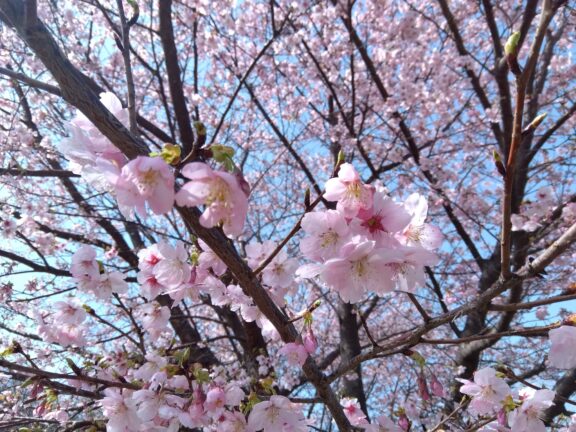 スライドショー - 7